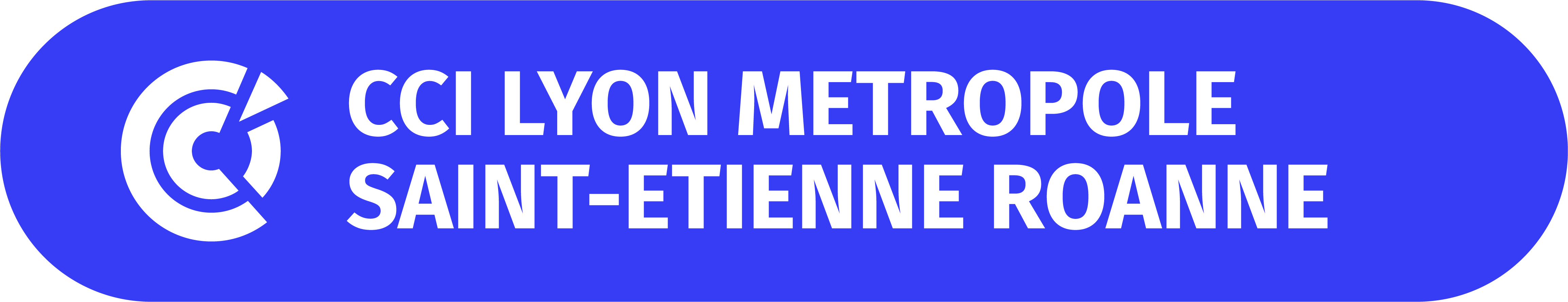 CCI Lyon Métropole Saint-Etienne Roanne